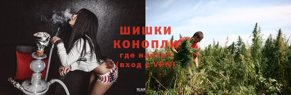 эйфоретик Надым