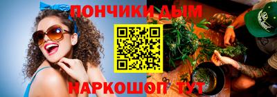 шишки Изобильный