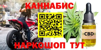 шишки Изобильный