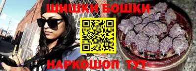 шишки Изобильный