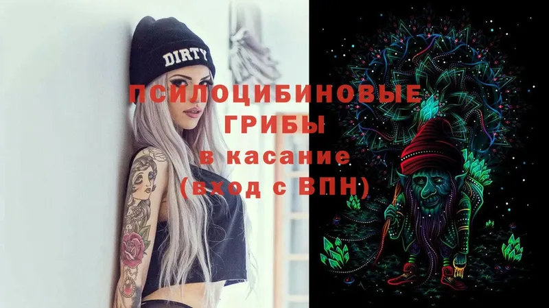 Псилоцибиновые грибы Psilocybe  Корсаков 