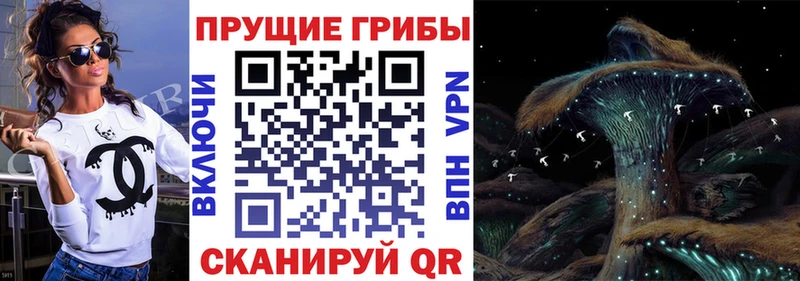 что такое наркотик  Корсаков  Псилоцибиновые грибы прущие грибы 