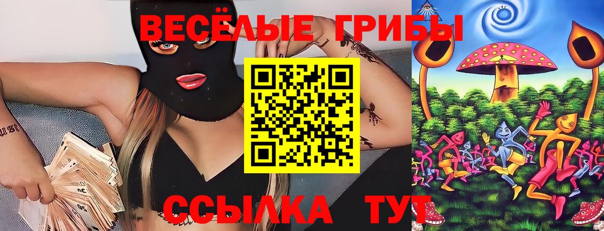 Корсаков  магазин    Вход с VPN  Галлюциногенные грибы мухоморы 