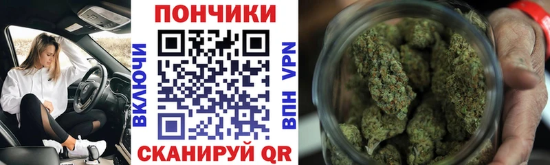 Каннабис план  Корсаков 
